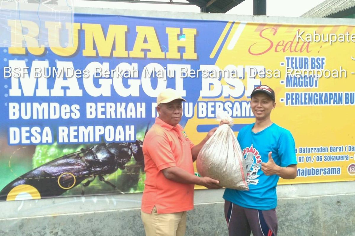 Rumah Maggot BSF Rempoah